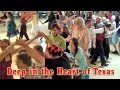 Deep in the heart of texas singing square dance in the desert az