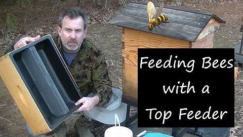 HOW TO Use a Top Feeder to Feed Syrup to Honey Bees during the Winter