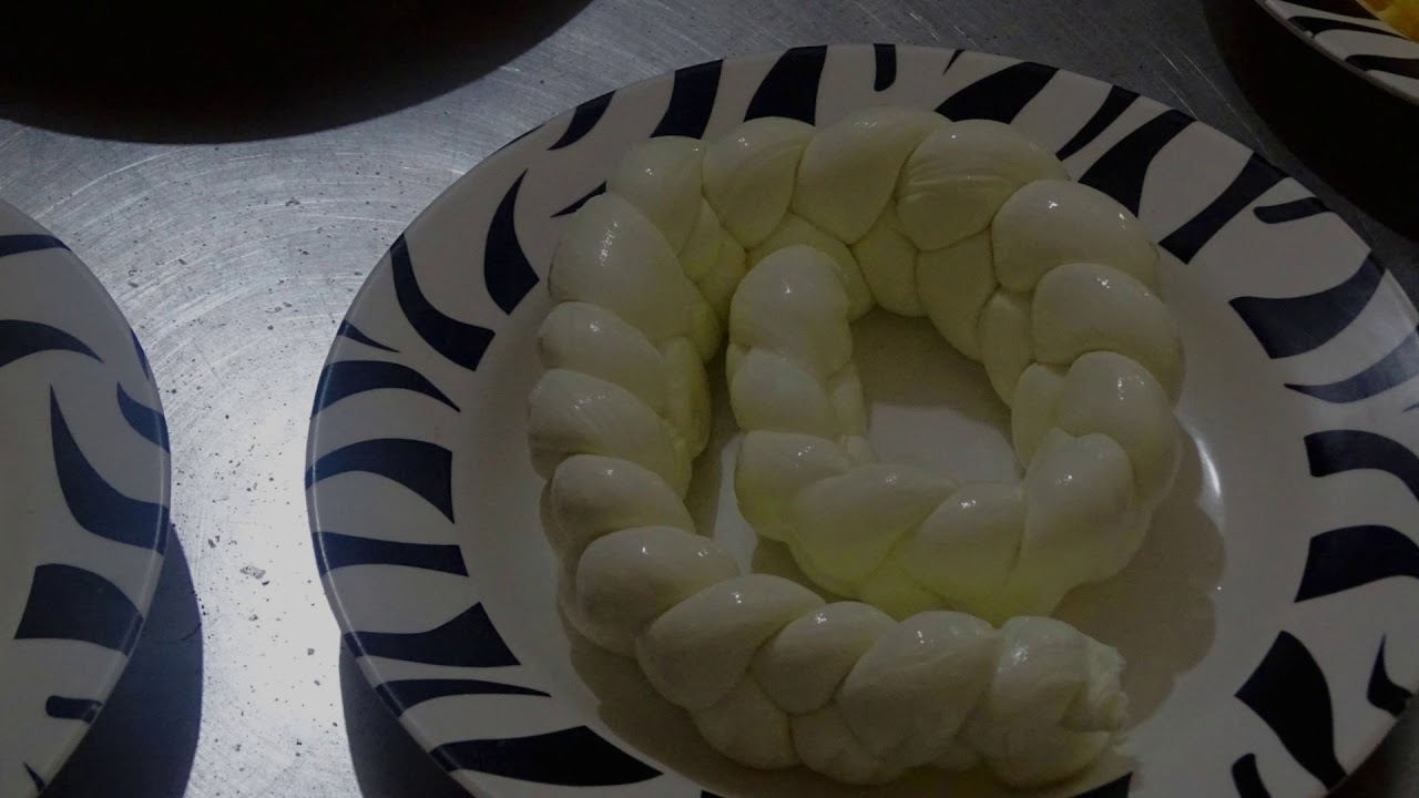 Study Trip to Cheese Factory 