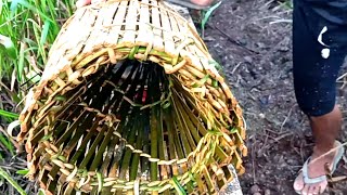 Baru pertama pasang bubu bambu langsung amis,tradisional fishing