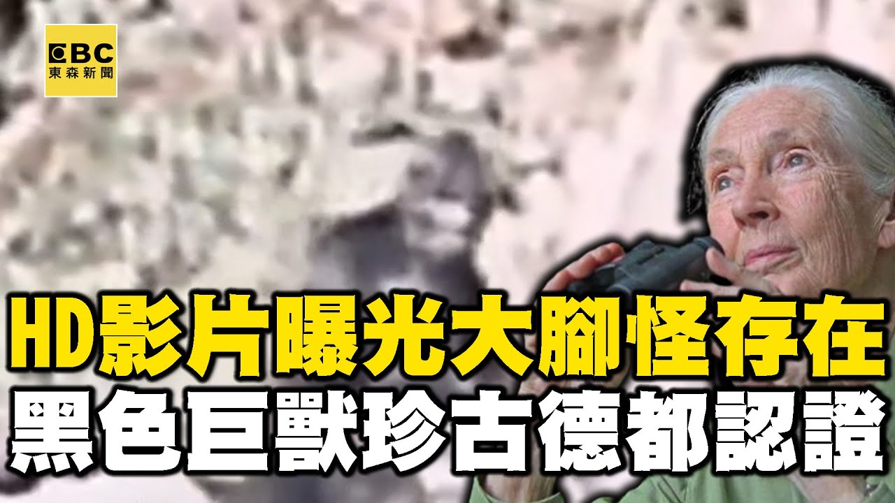 「HD超清超晰影片」曝光大腳怪存在！？ 黑色巨獸連珍古德都認證？【57新聞王】 @57newsking