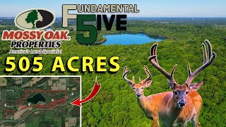 Prize 505 Acre Property in Indiana | Mossy Oak Properties Fundamental 5ive