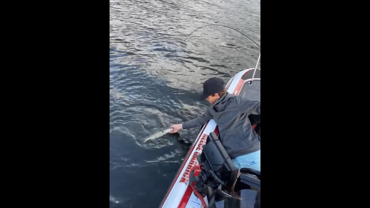 Fishing millers ferry (Saturday October 18) [4K]