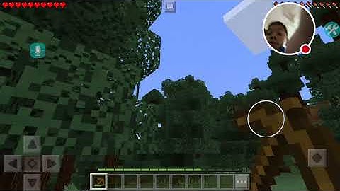 My Blockman Multiplayer for MCPE Stream
