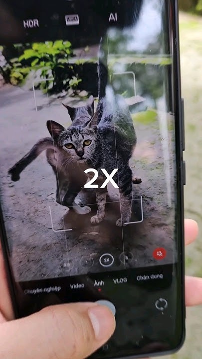 the-difference-between-1x-2x-and-0-5x-camera-phonephoto-smartphone