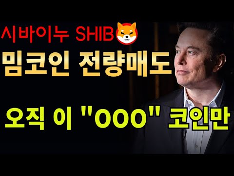 [시바이누 전망] 밈코인 전량매도한 일론 머스크, 오직 이 "000" 코인만 들고 있다