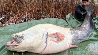 Ho pescato un rarissimo siluro bianco e nero con la canna da lucioperca by Yuri Grisendi