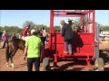 Carreras de Caballos en Carbo La Pelliscada Vs La Babosona