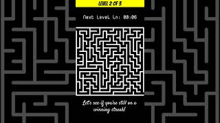 Can You Solve These Maze Puzzles 🧩 3 Levels in 60 Seconds!