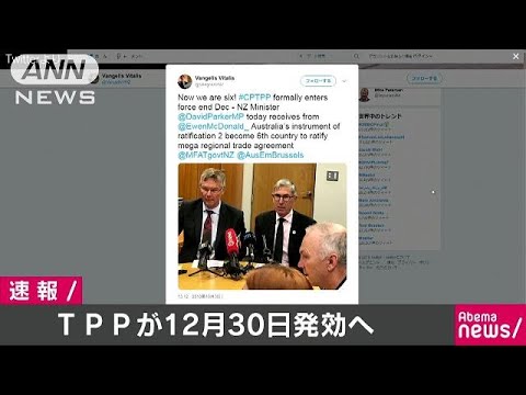 米国除く11か国によるTPP  12月30日発効へ(18/10/31)