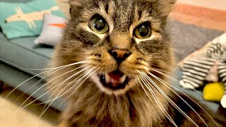 Erics Advice Have A Little Of What You Fancy