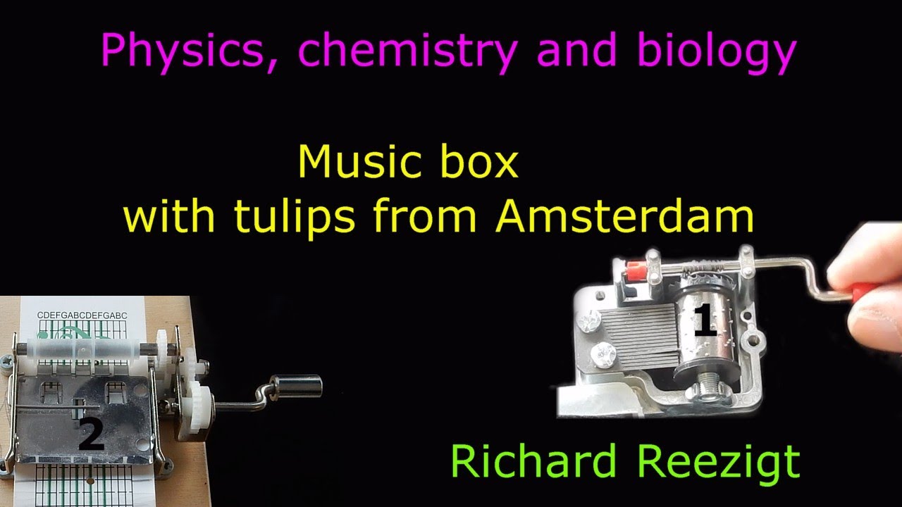 music box with tulips from Amsterdam YouTube
