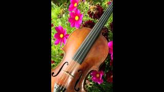 Ashokan Farewell - Beautiful violin and piano version chords