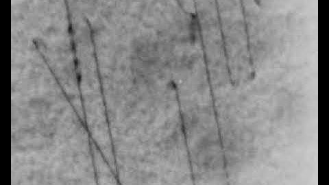 Dislocation interaction in Fe