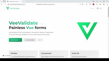 Vee validate 4. Введение и установка.