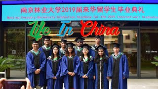 See You Again | International Student In China | Nanjing Forestry University | 南京林业大学 | APFNet
