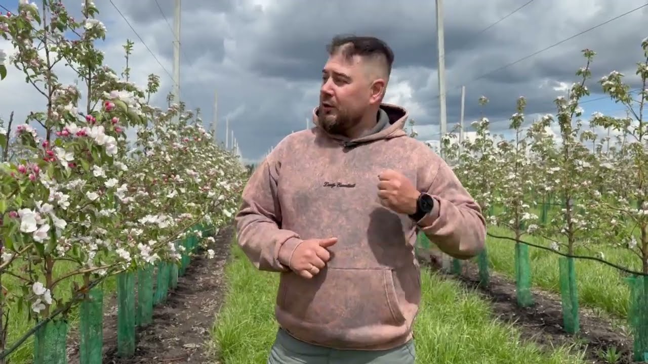 Sentek. Измерение влажности в почве 