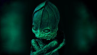 The Alyoshenka Incident - Russia's Alien Baby?