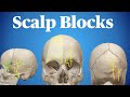 Scalp Blocks