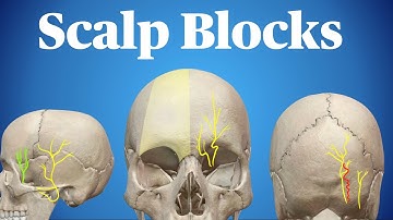 Scalp Blocks