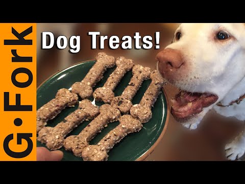 Video: 15 Musim Pawsively Delish Memperlakukan Anak Anjing Anda Akan SUKA