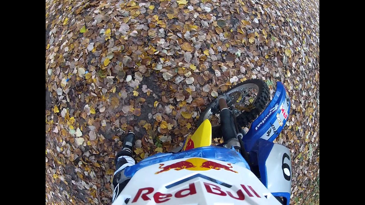 padure runcu 1 camera iphone 8 plus apk