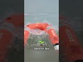 Smart Lifebuoy - Finland’s Breakthrough in Water Rescue #shorts