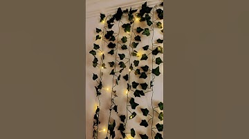Hang my vines and fairy lights with me🫶🏻🌺🐷 #preppy #aesthetic #decor #vines #blowup #fairylights