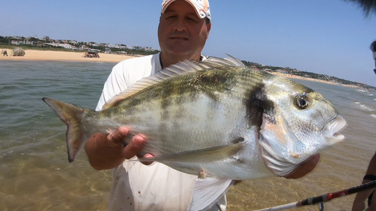 DOCUMENTAL PESCA DORADAS EN LAS RIAS A SURFCASTING