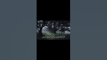 محمد ايوب - سورة طه / #الحمدلله #اكسبلور #القرآن_الكريم #المصحف #لايك