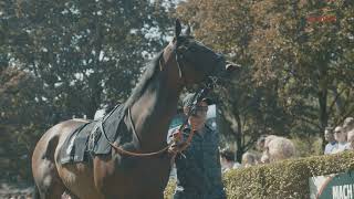 Galopprennbahn Baden-Baden | Aftermovie Baden Galopp 2021