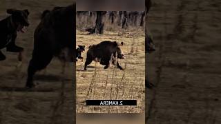 Охота на кабана 🎯 | Мощный выстрел в лесу 🐗🔥 #охота #весенняяохота #охотник #wildboar