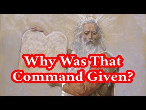 Assuming Why a Command was Given - YouTube