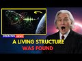 3I/ATLAS Just TRANSLATED Animal Sounds — What They're Saying is HORRIFYING | Michio Kaku