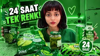 24 SAAT BOYUNCA TEK RENK CHALLENGE 🟢 Her Şey Yeşil!! 