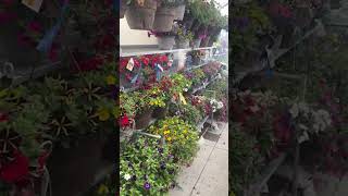 Bozeman Greenhouse Update From Owenhouse Ace West