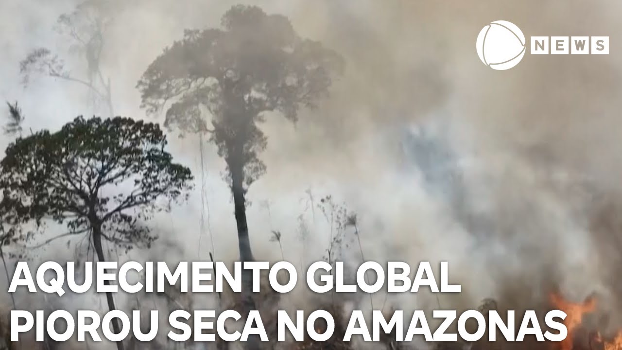 Aquecimento global piorou seca no Amazonas em 2023