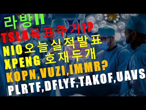   라방II 스마트카 AR 드론 주식 TSLA XPEV LI CCIV KOPN VUZI IMMR MVIS UAVS EH PLRTF DFLYF TAKOF