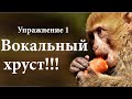 Распевка для уставшего голоса  Упражнение 1