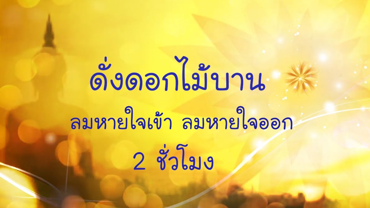 เพลง ดั่งดอกไม้บาน 2 ชั่วโมง สำหรับฝึกนั่งสมาธิ ลมหายใจเข้า ลมหายใจออก