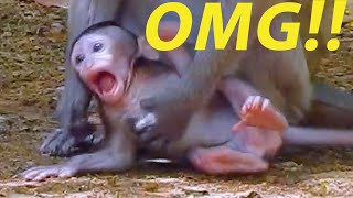 Omg !!! Why mom drug me seriously? | #video #subscribe #viral #shortvideo #cute #animals