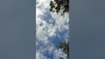 ما أجمل الصباح مع آيات الذكر الحكيم