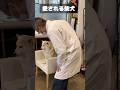愛されすぎるセラピー犬 #shorts #shiba #柴犬