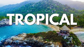 Faos - Tayrona Vibes Resimi