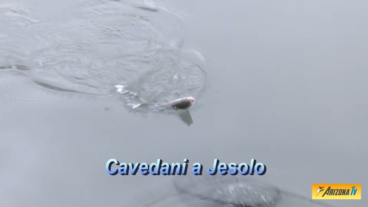 MONDO PESCA - A PESCA COL TEO - CAVEDANI A JESOLO - FIUME SILE - 