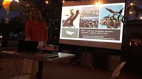UAZ Downtown Science Cafe at Magpie's Pizza - Pegg...