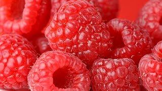 How to plant Raspberries: Jeff Turner on how to grow your own fruit with Raspberry canes