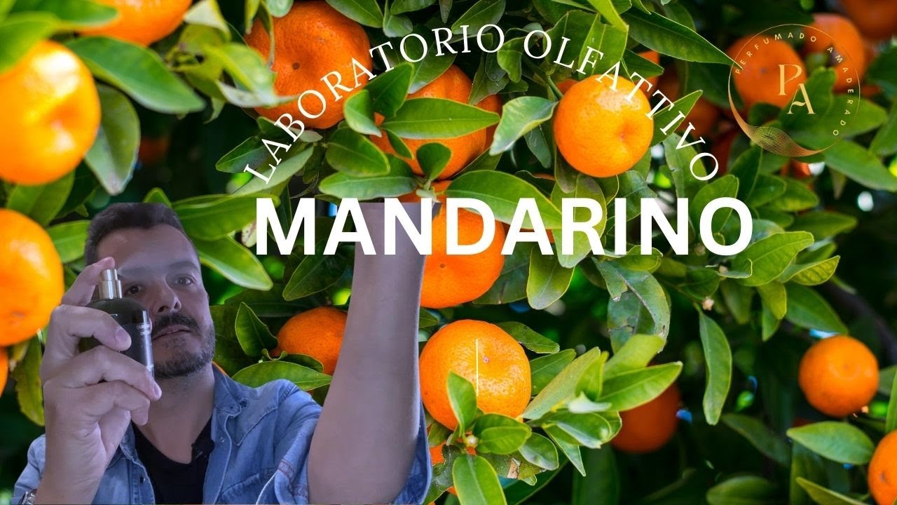 maxresdefault.jpg