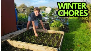 Winter Jobs On The Plot: Shed Declutter & Weeding Mission