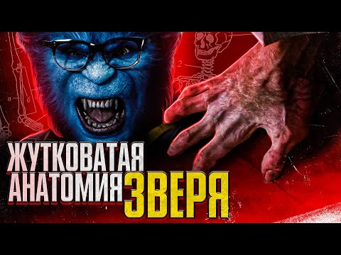 Жутковатая анатомия Зверя